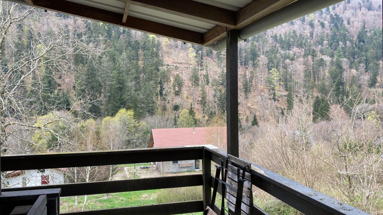 Le Chalet Du Coeur Mittlach Kültér fotó