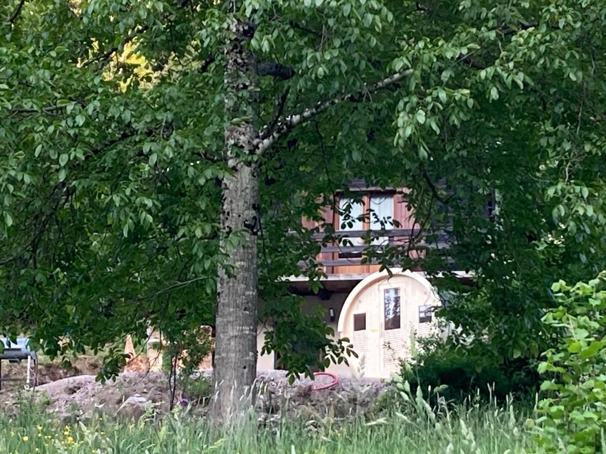 Le Chalet Du Coeur Mittlach Kültér fotó