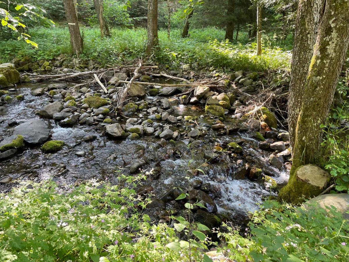 Le Chalet Du Coeur Mittlach Kültér fotó
