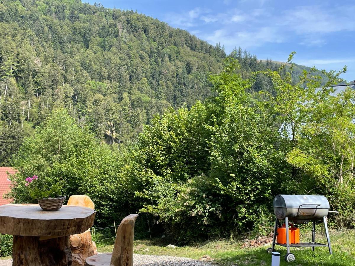 Le Chalet Du Coeur Mittlach Kültér fotó