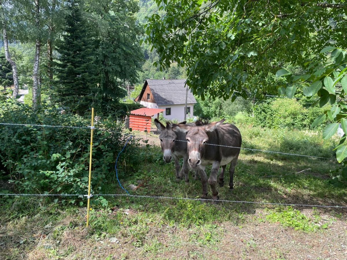 Le Chalet Du Coeur Mittlach Kültér fotó