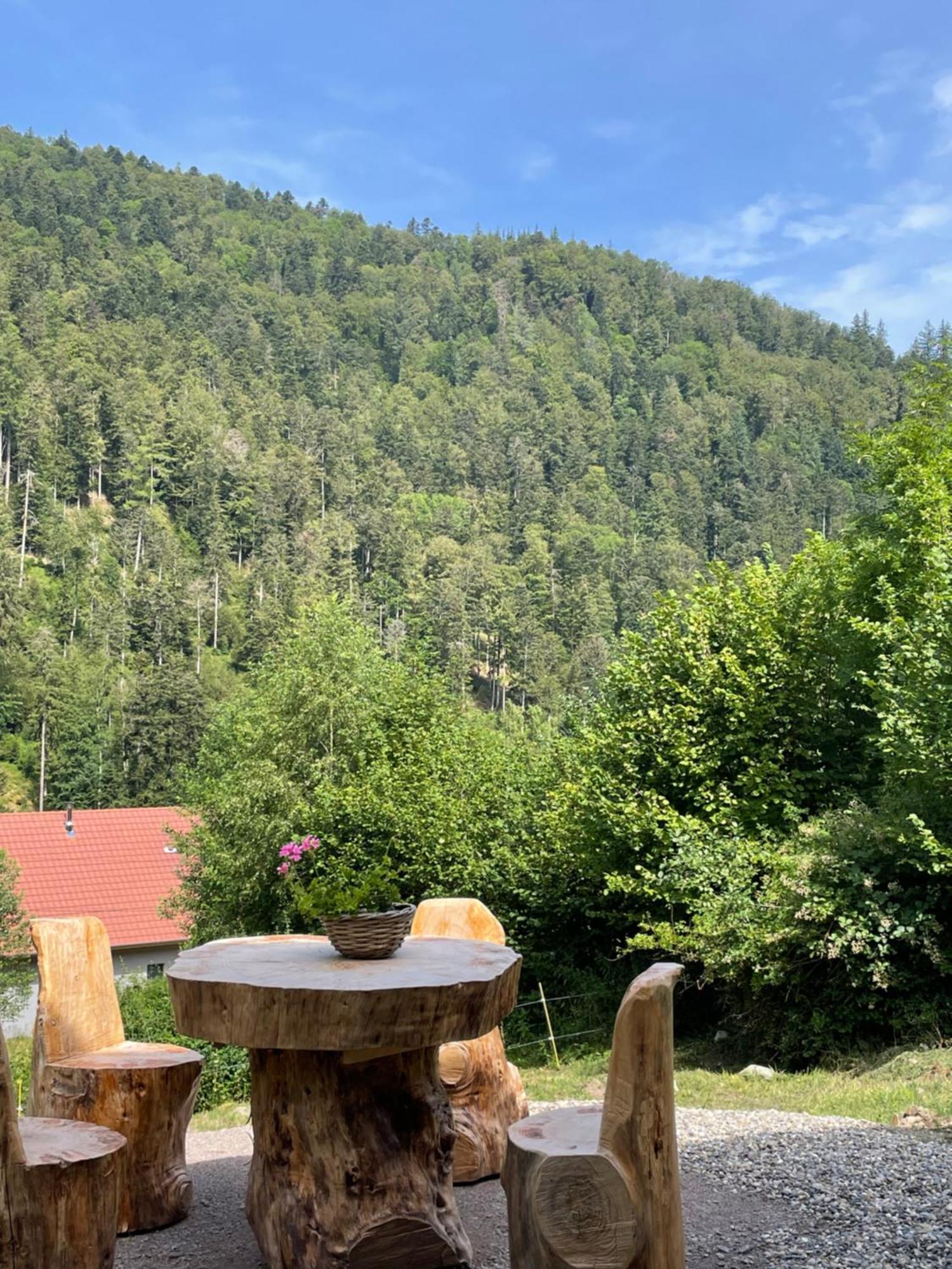 Le Chalet Du Coeur Mittlach Kültér fotó